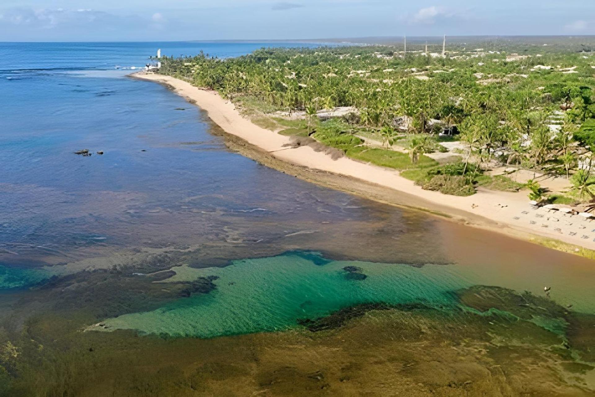 Praia Do Forte Apartamento Fantastico Eksteriør bilde